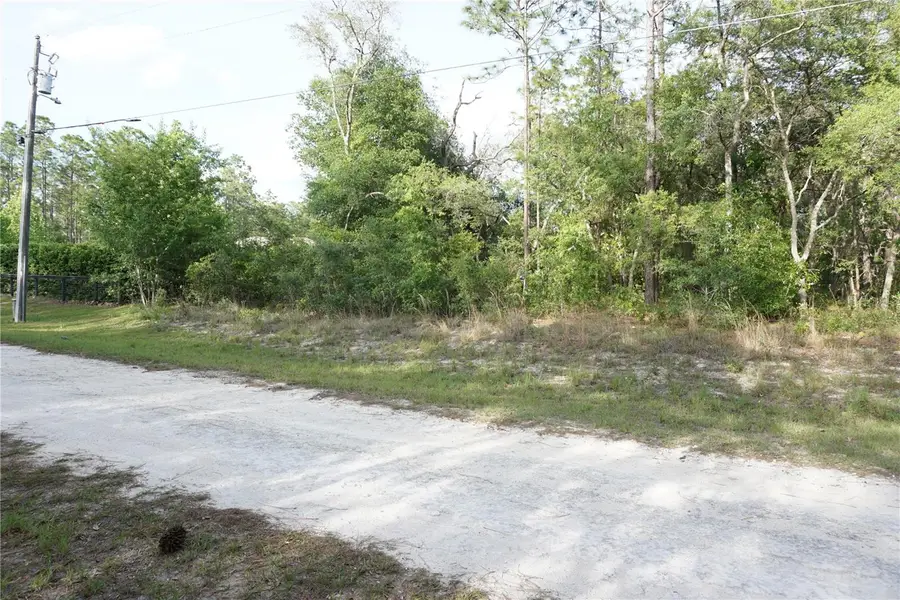 00 (TBD) SW 135 Terrace Road, Dunnellon, FL 34432 - #2