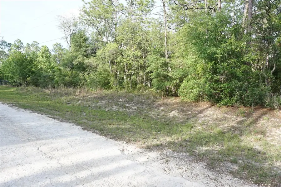 00 (TBD) SW 135 Terrace Road, Dunnellon, FL 34432 - #3
