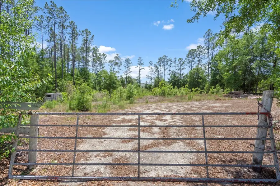17950 SE 60th Lane, Morriston, FL 32668 - #2