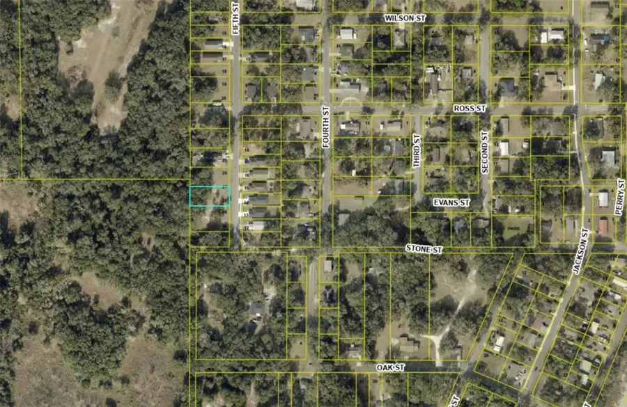 TBD 5th Street, Wildwood, FL 34785 - #3