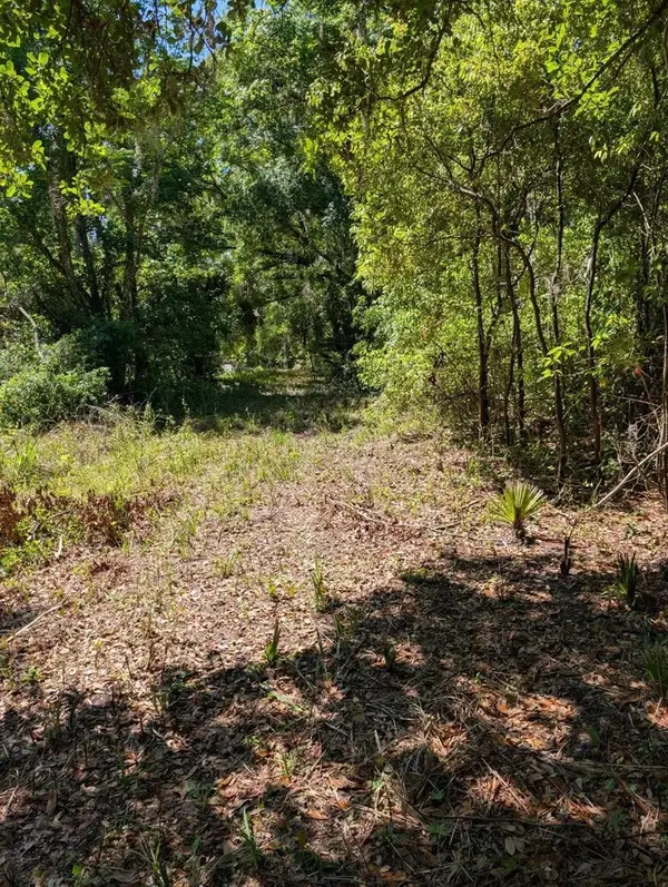 0 NW 202nd Pl, MC INTOSH, FL 32664