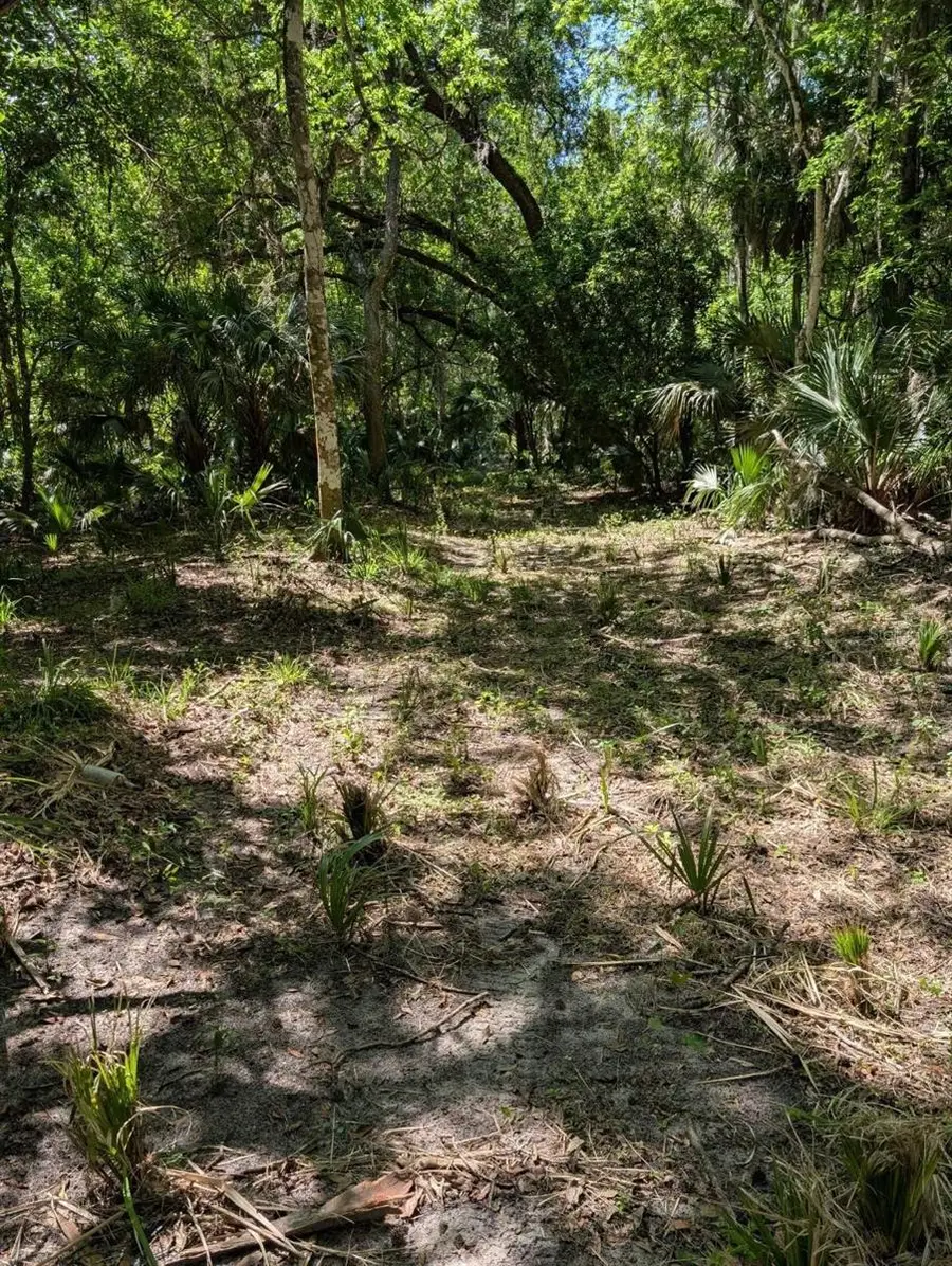 0 NW 202nd Pl, Reddick McIntosh, FL 32664 - #3