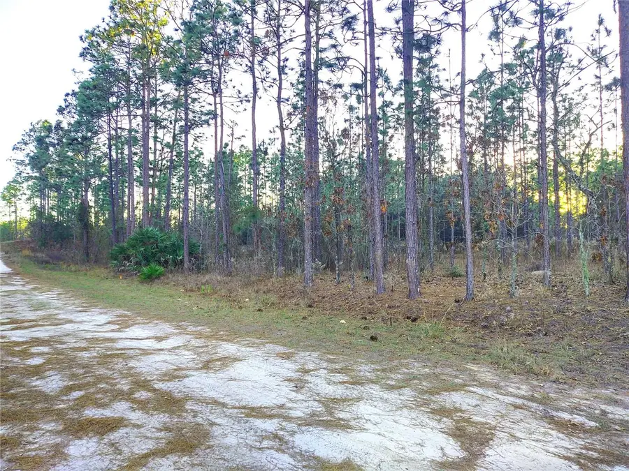 5980 SW 127th Ave Road, Ocala, FL 34481 - #3