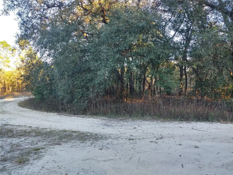 Tbd Sw 81st Street Sw, Dunnellon, FL 34432 - #3