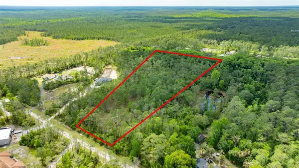 3623 Conifer Lane, ORMOND BEACH, FL 32174