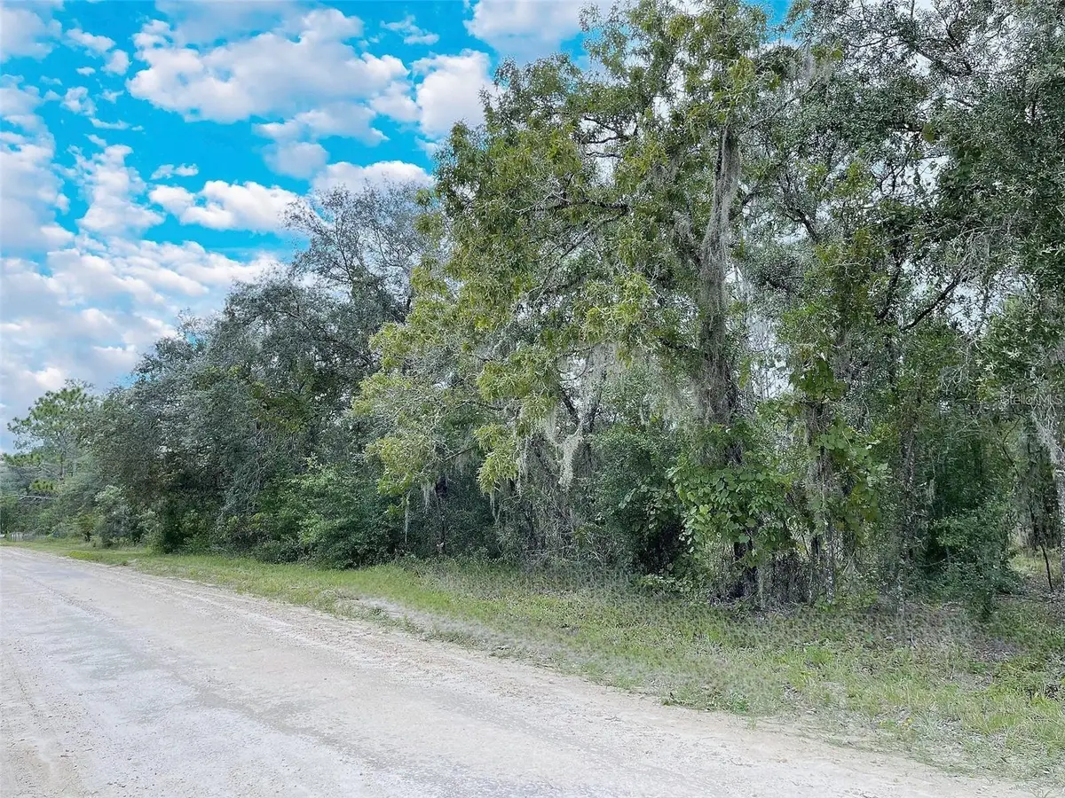 14250 SE 2nd Street, Williston, FL 32696 - #1