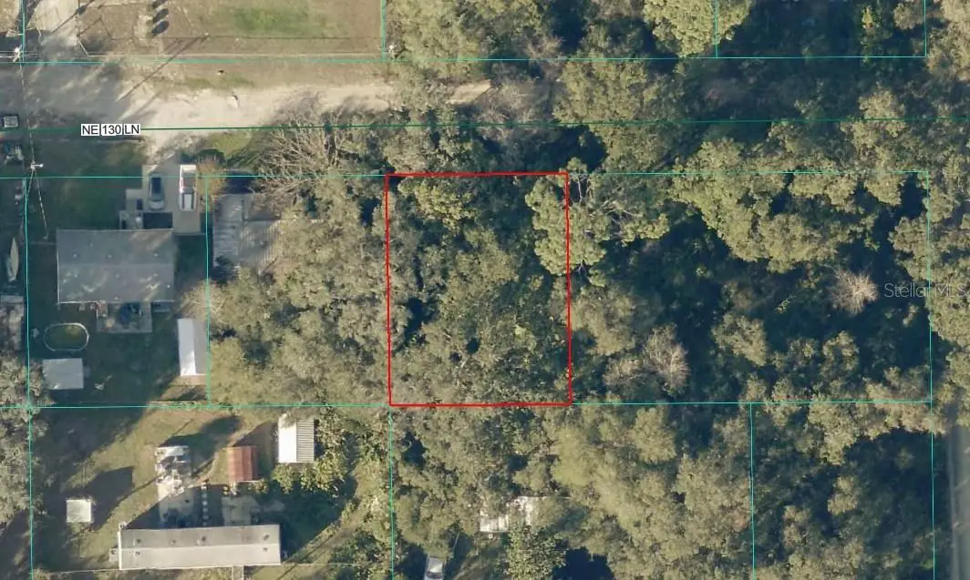 TBD LOT 34 NE 130th Lane, Salt Springs, FL 32134 - #1