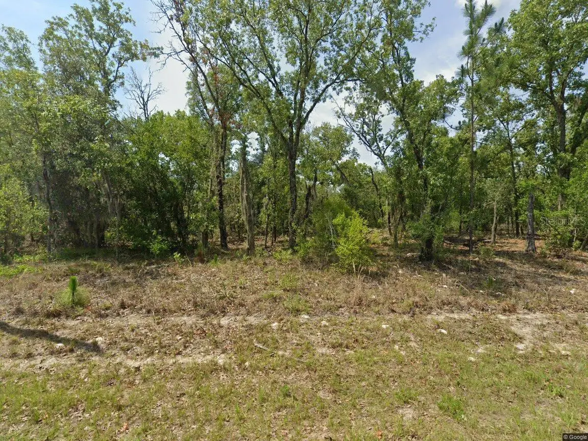1900 W Magenta Drive, Dunnellon, FL 34434 - #1