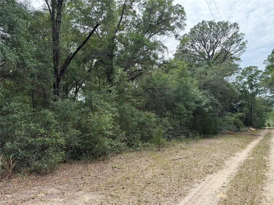 Sw 31st Pl, Ocala, FL 34481 - #3