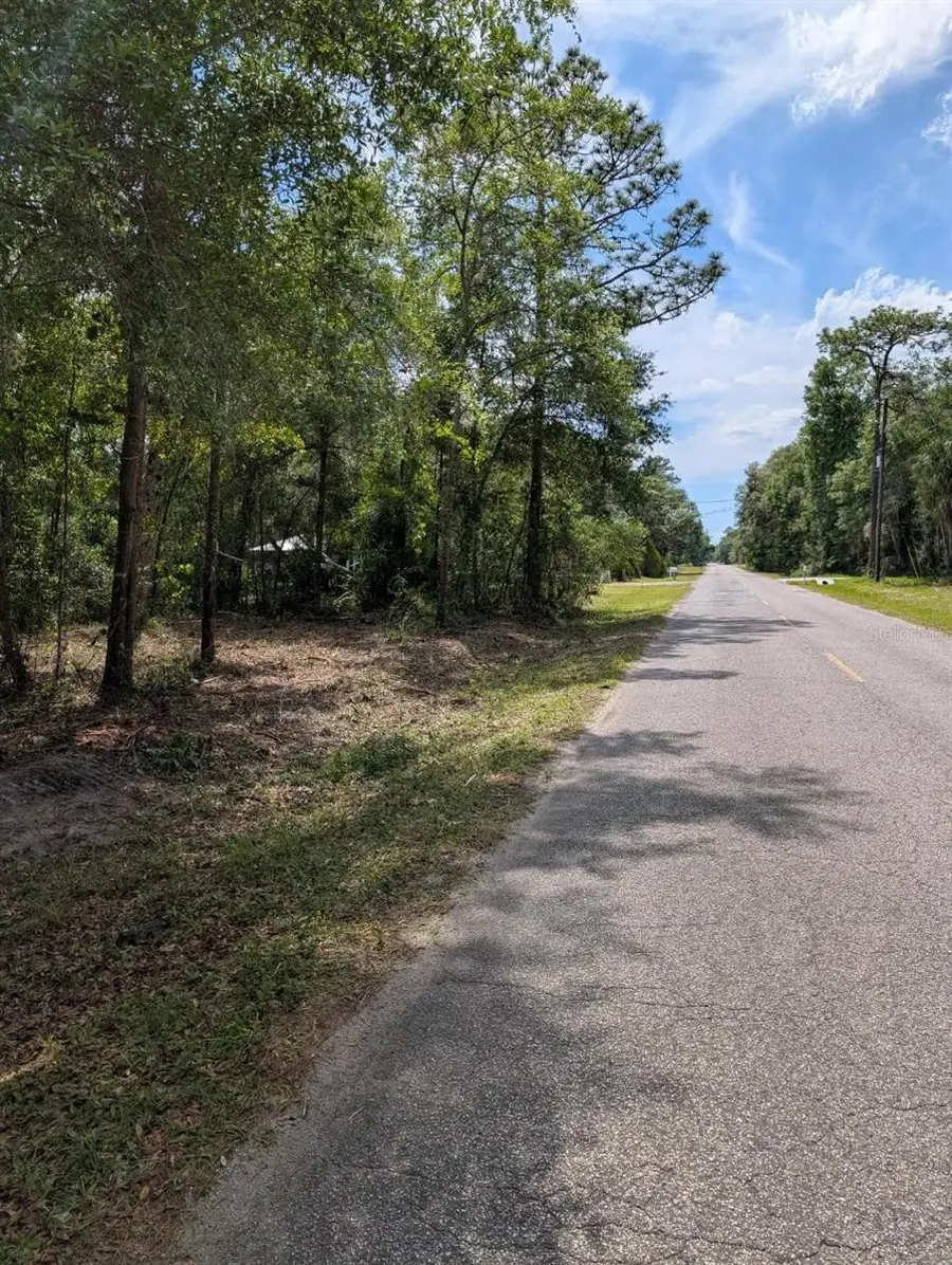 0 NE 220th Street, Fort McCoy Anthony, FL 32134 - #2