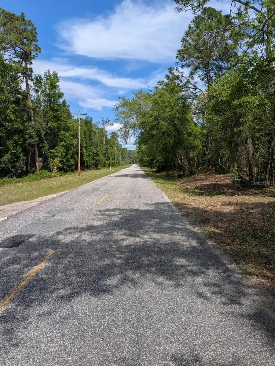0 NE 220th Street, Fort McCoy Anthony, FL 32134 - #3