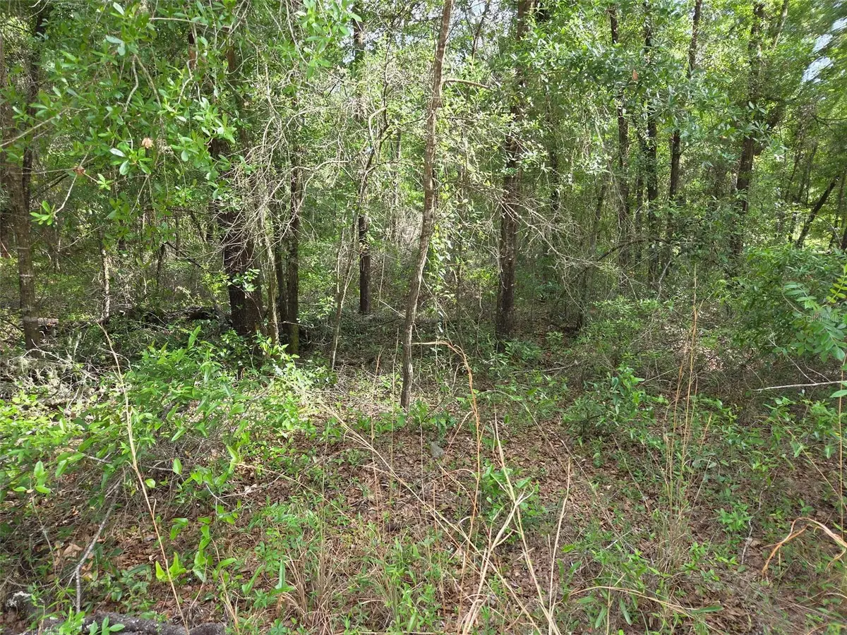 0000 NE 85th Street, Bronson, FL 32621 - #1