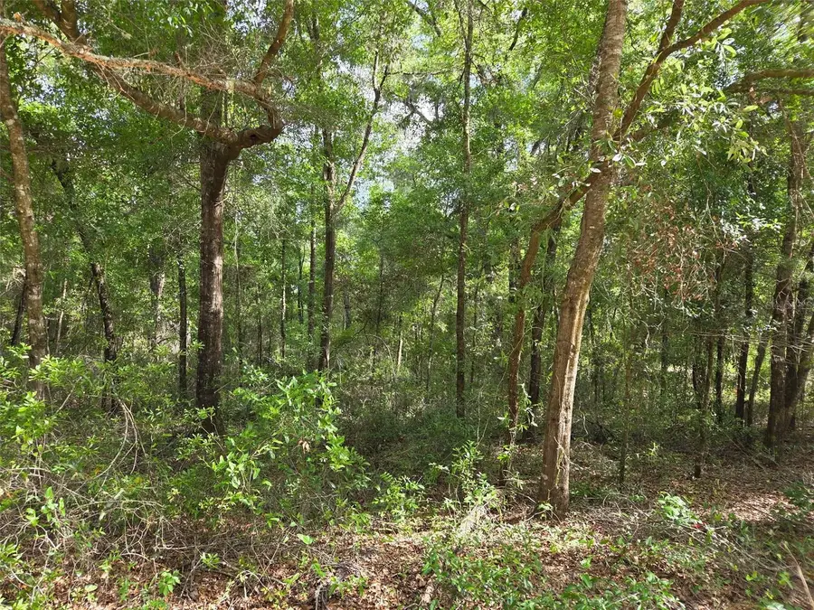0000 NE 85th Street, Bronson, FL 32621 - #2