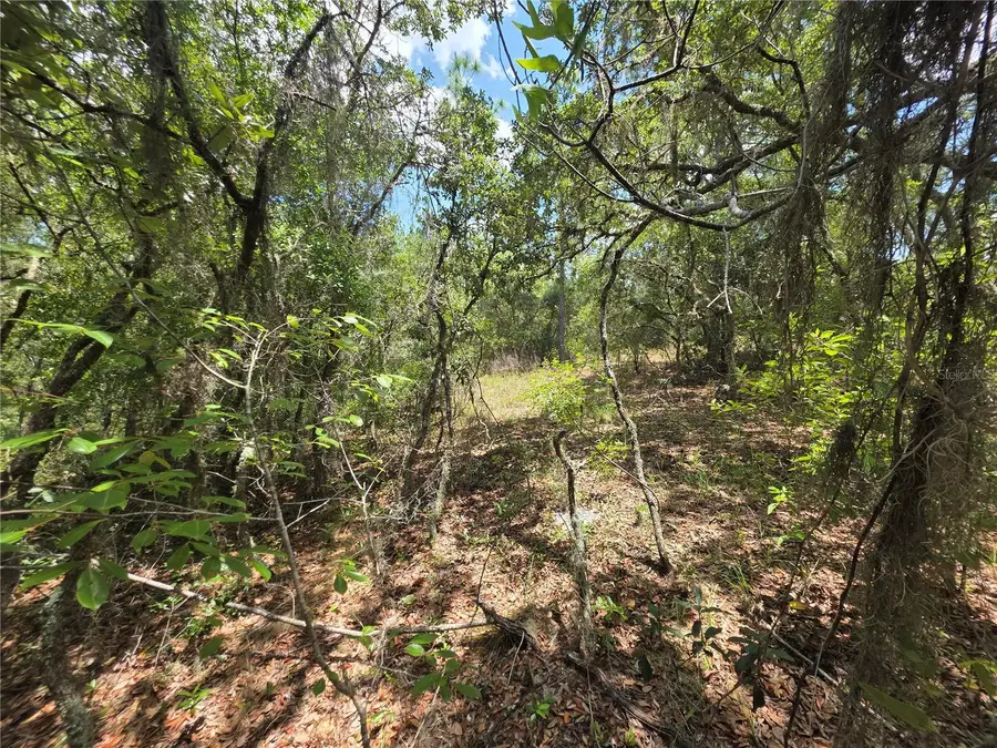 Lot 18 SW Wood Road, Dunnellon, FL 34431 - #2