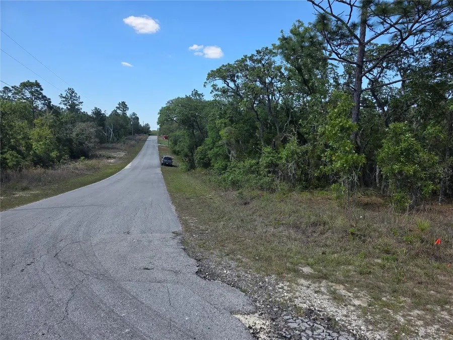 Lot 18 SW Wood Road, Dunnellon, FL 34431 - #3