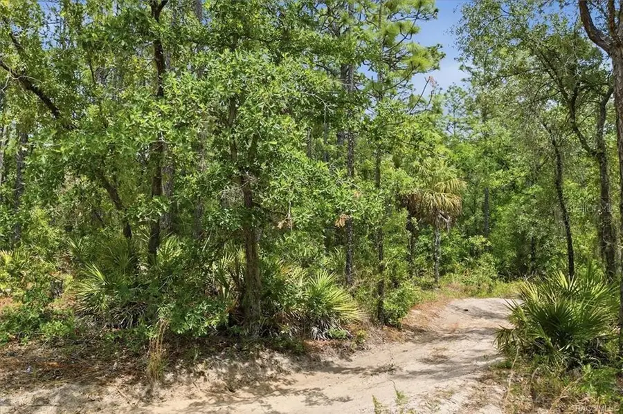 5267 N Lace Point, Dunnellon, FL 34433 - #3