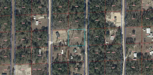 TBD NE 123rd Avenue, WILLISTON, FL 32696