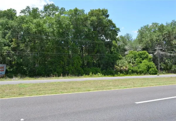TBD N Us Hwy 301, CITRA, FL 32113