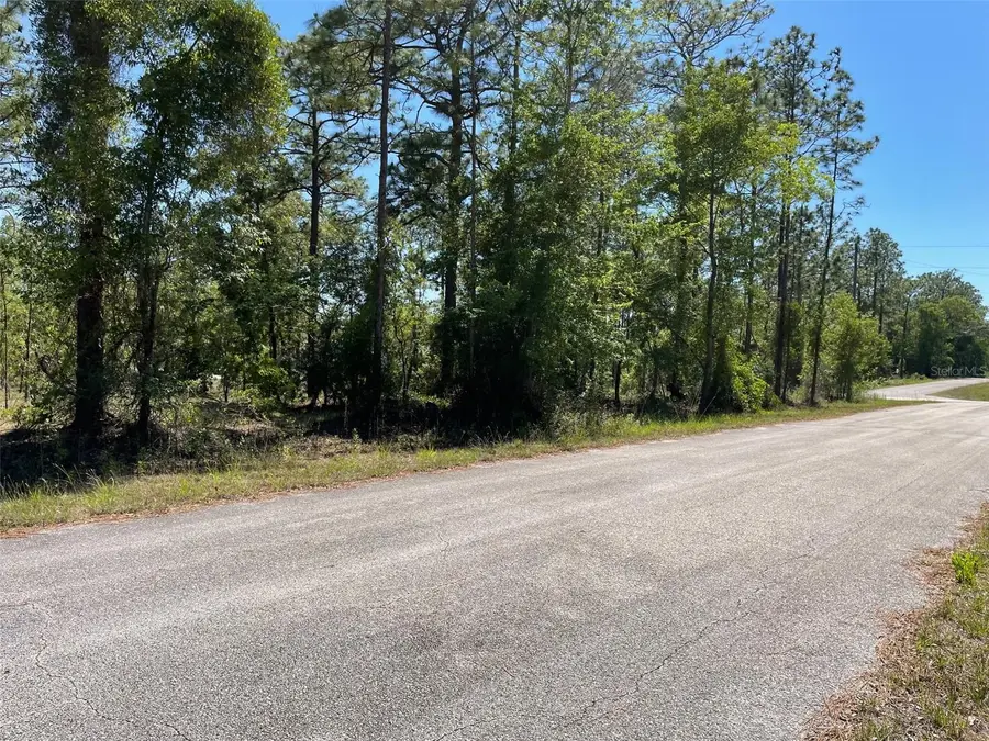 LOT 1 NW Mandrake Drive, Dunnellon, FL 34431 - #2
