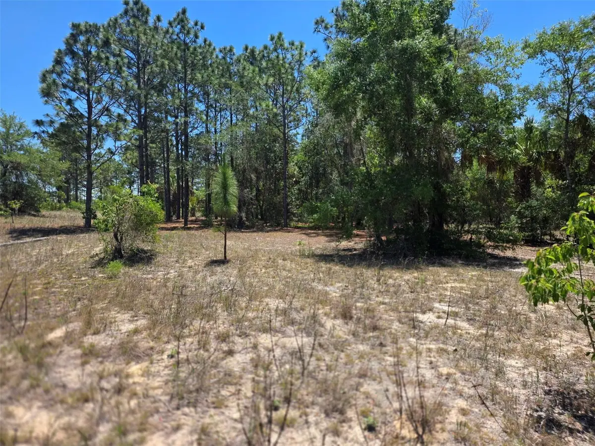 11837 N Captiva Terrace, Dunnellon, FL 34433 - #1