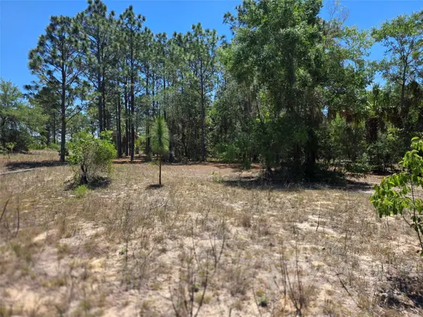11837 N Captiva Terrace, DUNNELLON, FL 34433
