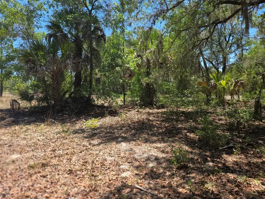 11837 N Captiva Terrace, Dunnellon, FL 34433 - #2
