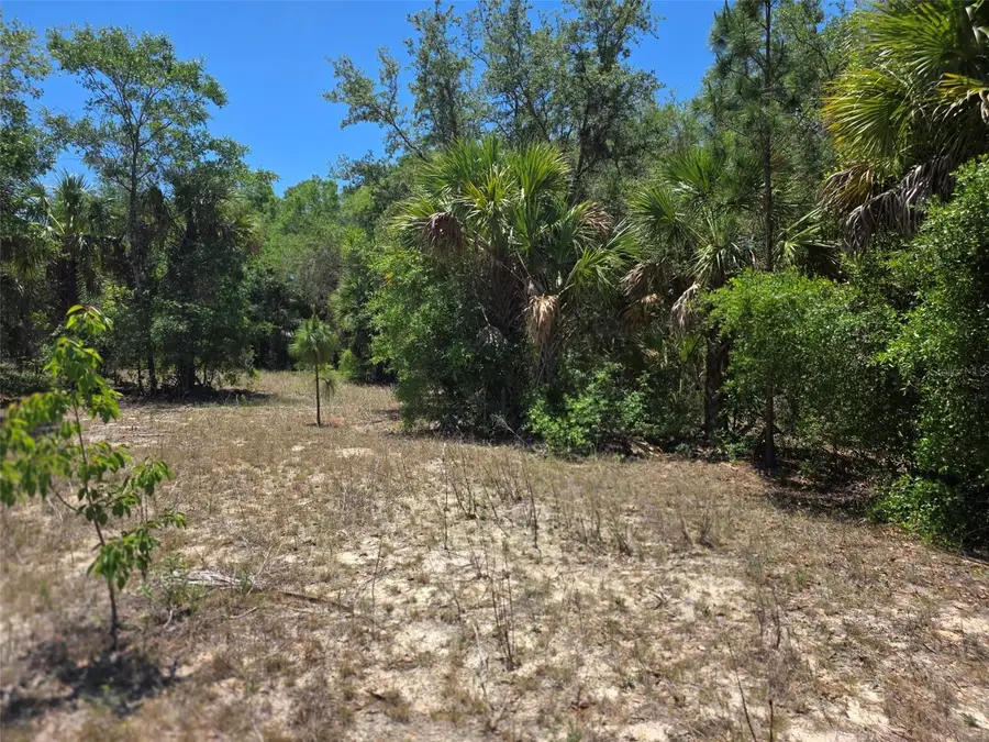 11837 N Captiva Terrace, Dunnellon, FL 34433 - #3