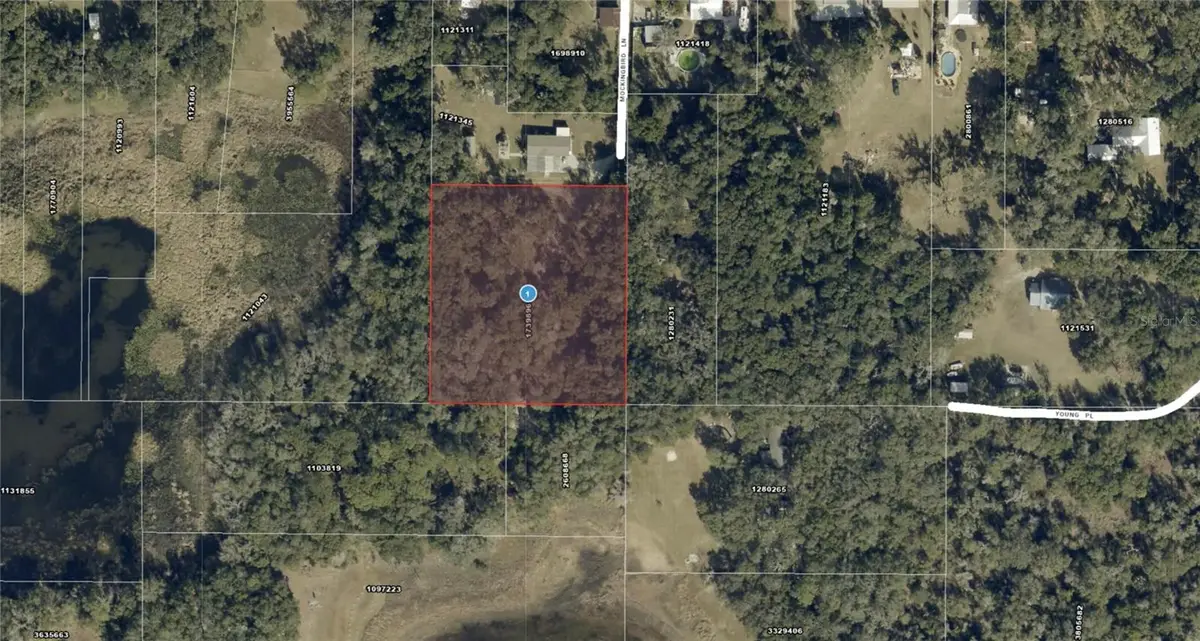128 Mockingbird Lane, Lady Lake, FL 32159 - #1