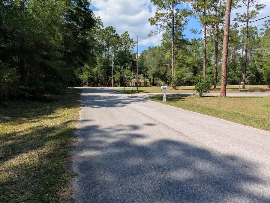 202nd Ct, Dunnellon, FL 34431 - #3
