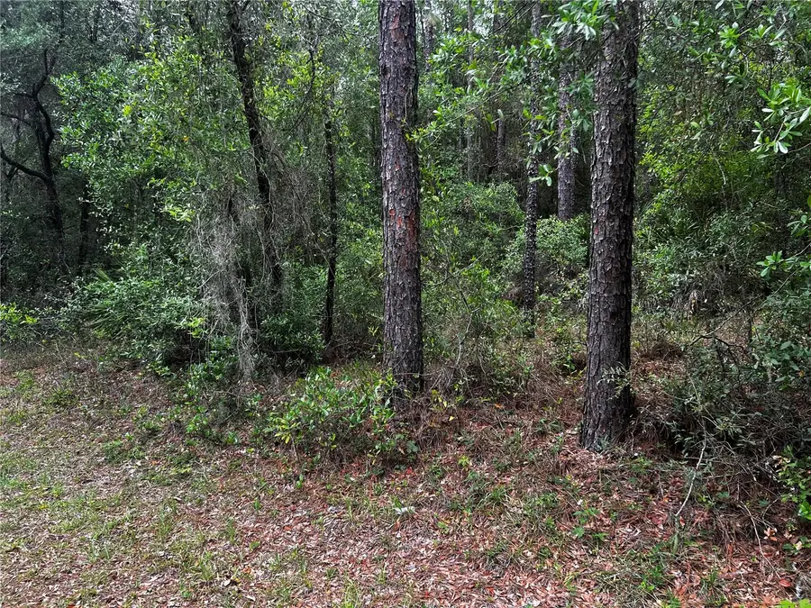 TBD SW 186th Ct., Dunnellon, FL 34432 - #2
