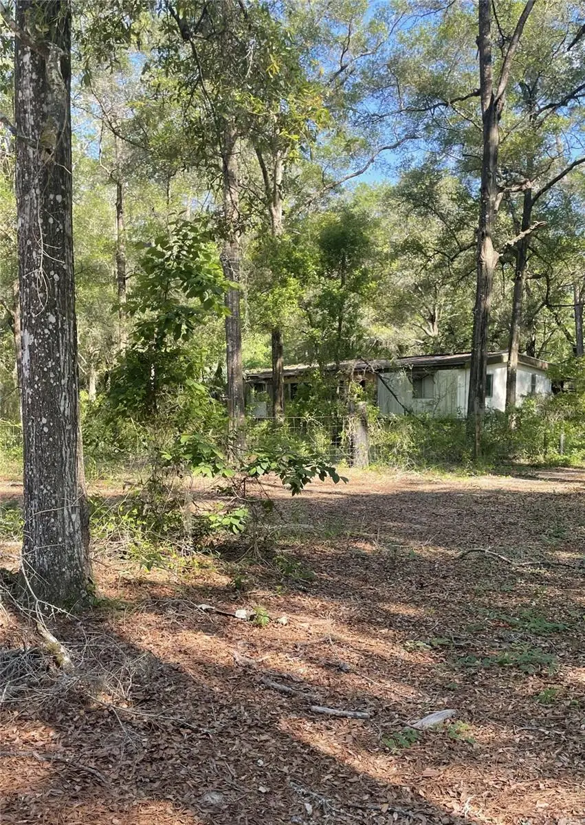 10390 SW 153rd Lane, Dunnellon, FL 34432 - #1