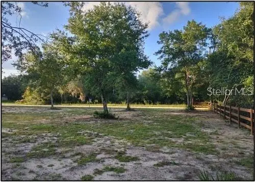 NE 135th Street, Salt Springs, FL 32134 - #3
