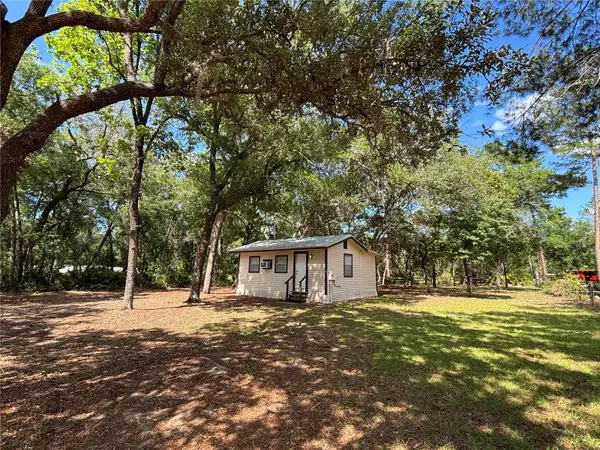 317 NE 172nd Avenue, SILVER SPRINGS, FL 34488