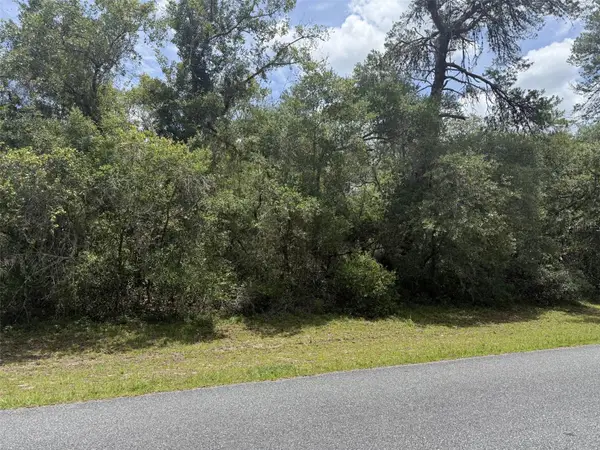 TBD SW 29th Terrace Road, OCALA, FL 34473