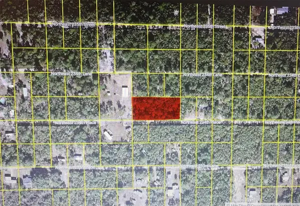 TBD NE Ne 234th Pl, FORT MC COY, FL 32134