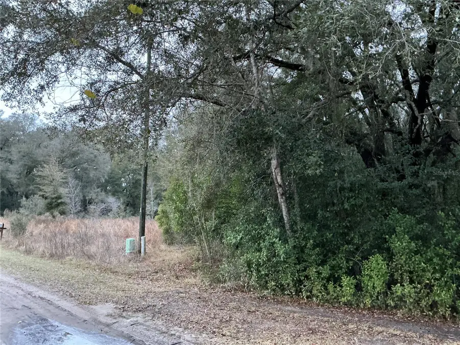 0 SE 143rd Place, Summerfield, FL 34491 - #3