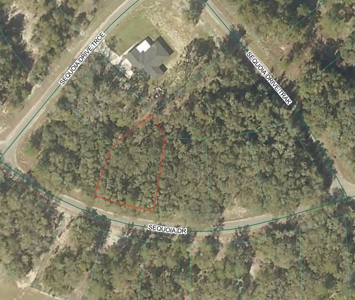 Sequoia Loop Drive, Ocklawaha, FL 32179 - #1