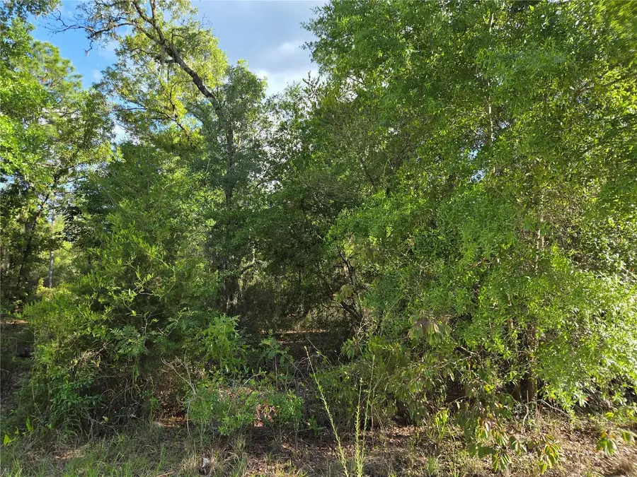 9070 NE 76th Street, Bronson, FL 32621 - #2