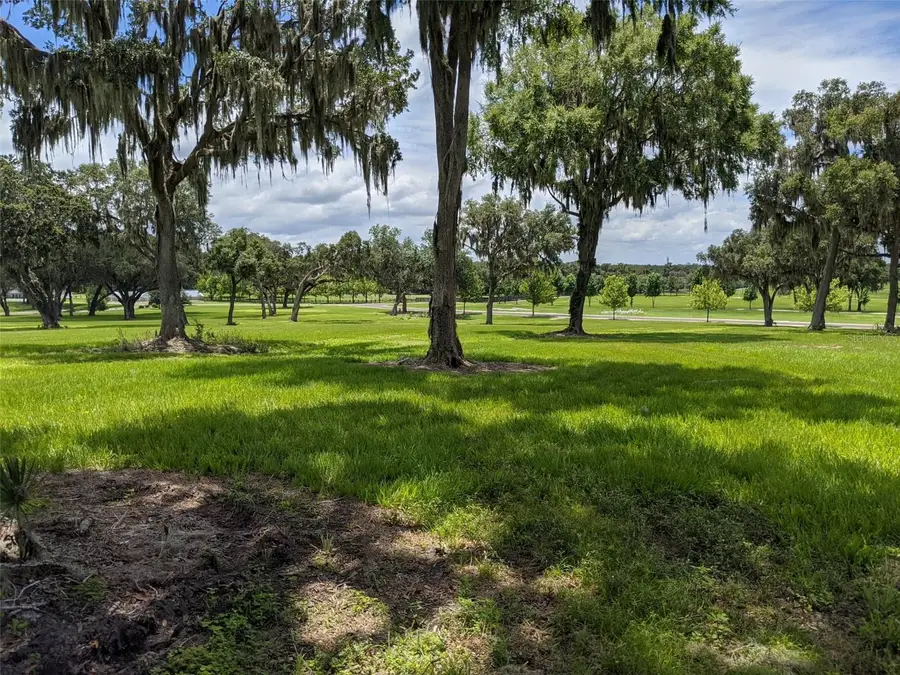 LOT 25 SE 159th Lane, Summerfield, FL 34491 - #2