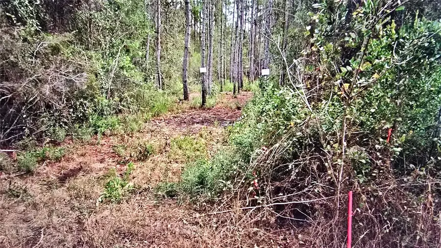 00 Memory Lane, Milton, FL 32583 - #3