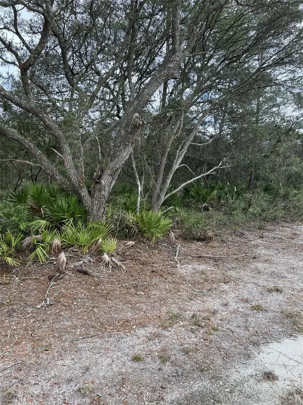 0 NE 144 Court, FORT MC COY, FL 32134