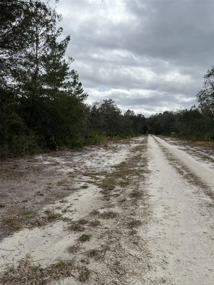 0 NE 144 Court, Fort McCoy Anthony, FL 32134 - #3