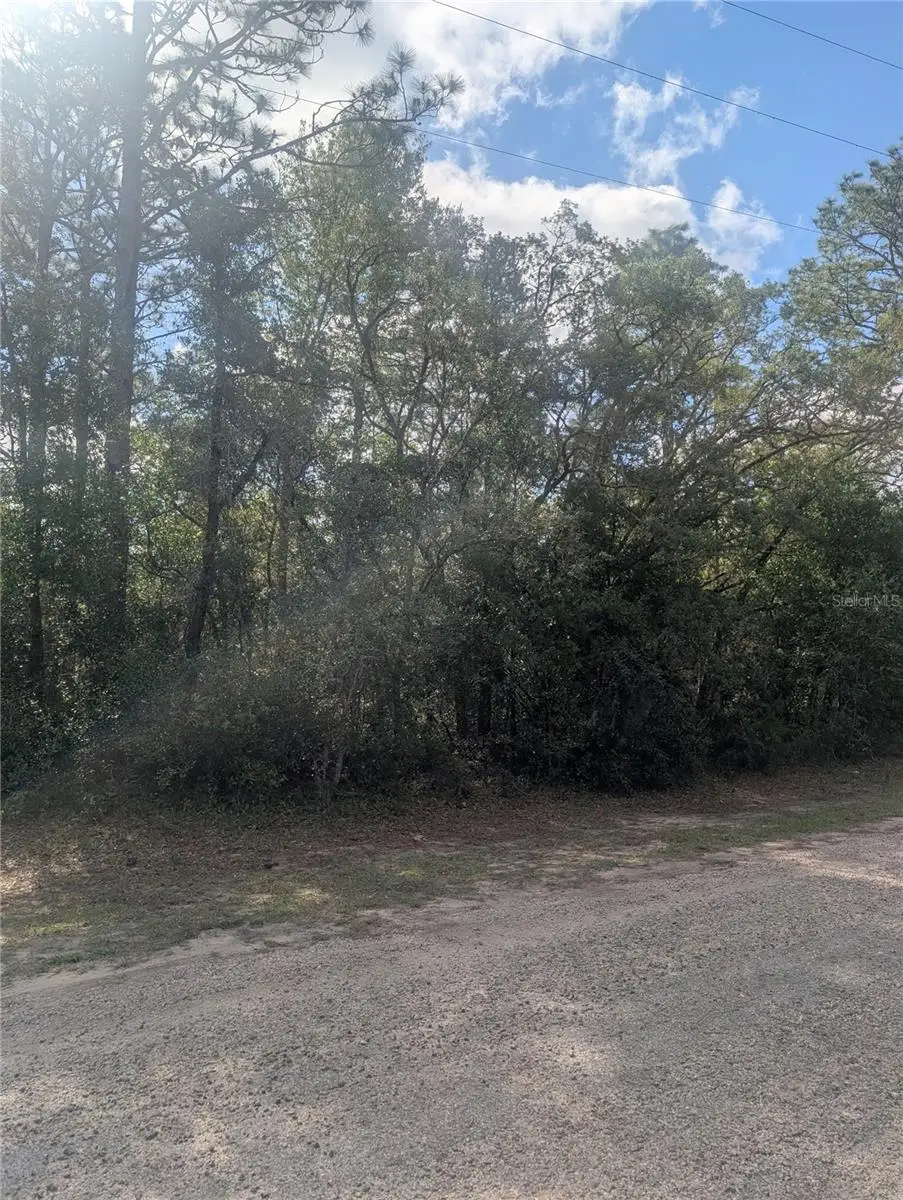 8791 N Folland Drive, Dunnellon, FL 34433 - #1