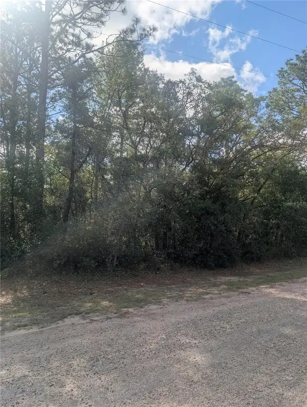 8791 N Folland Drive, DUNNELLON, FL 34433