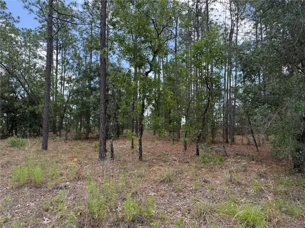 NW Buena Vista Road, DUNNELLON, FL 34431