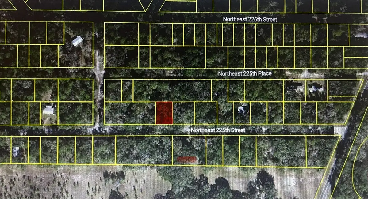 11545 NE Ne 225th St, Fort McCoy Anthony, FL 32134 - #1