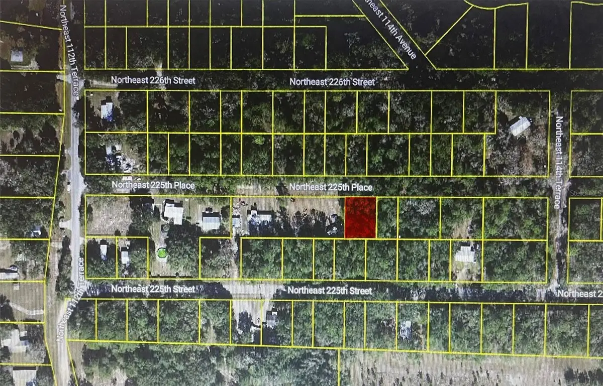 TBD NE 225th Place, Fort McCoy Anthony, FL 32134 - #1