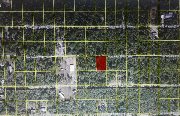 TBD NE 234th Lane, Lot 20, FORT MC COY, FL 32134
