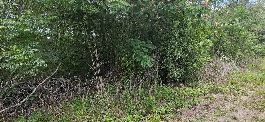 144th, Summerfield, FL 34491 - #3