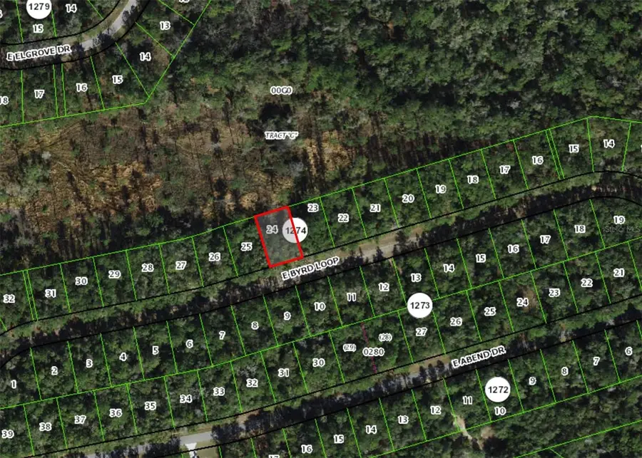 737 E Byrd Loop, Dunnellon, FL 34434 - #2